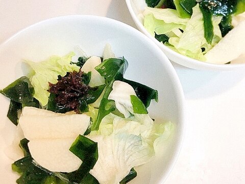 長芋とレタスと海藻の☆ツルシャキサラダ